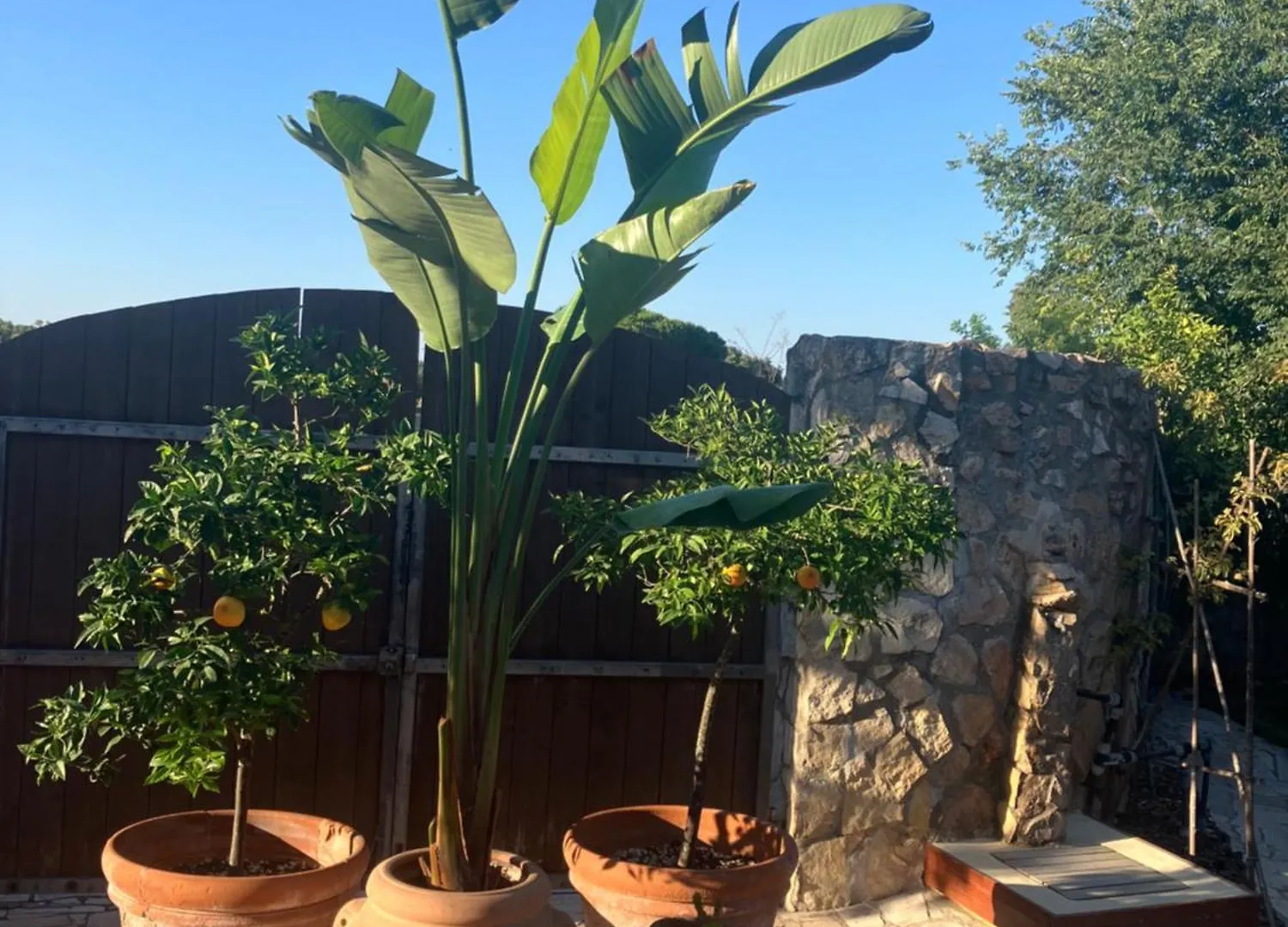 Masia Mariel Playa-Adults Only 0*, Orbetello