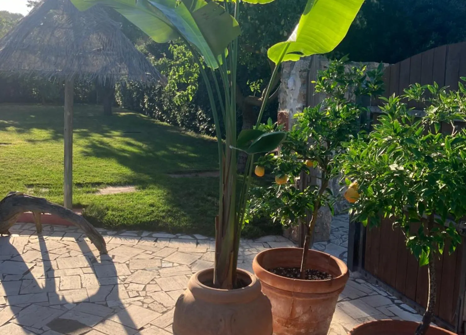 Bed & Breakfast Masia Mariel Playa-Adults Only